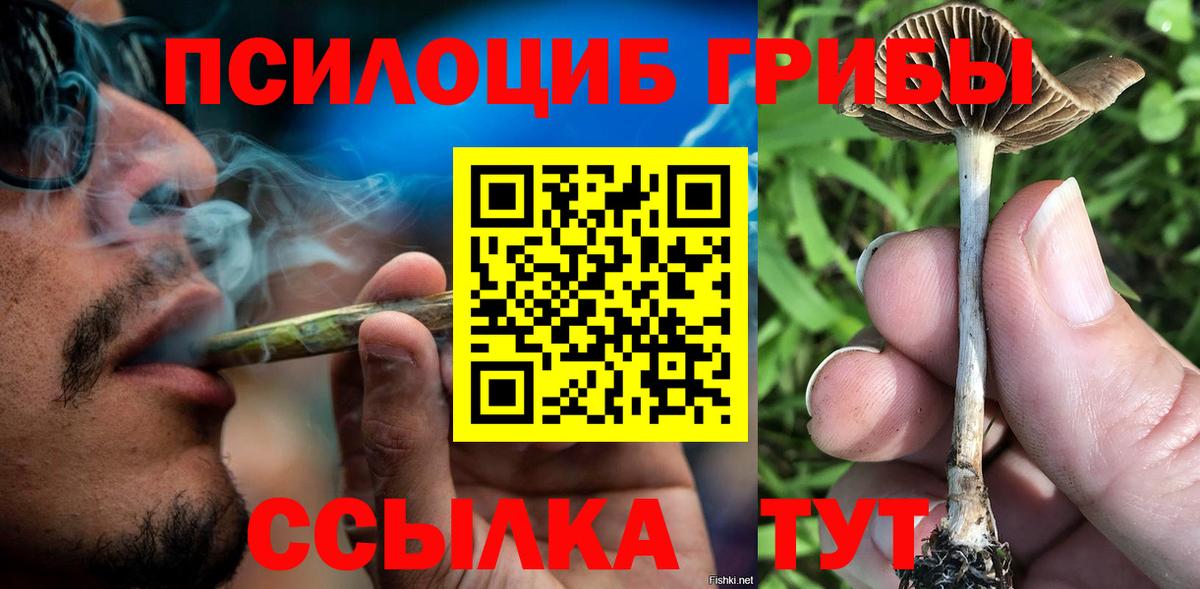 Нижневартовск  Галлюциногенные грибы Psilocybe  Вход с VPN 