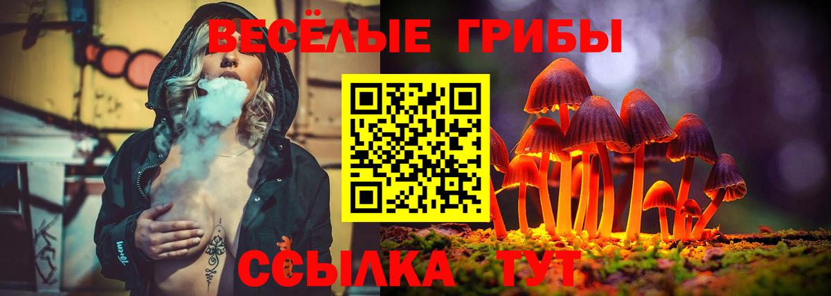 Галлюциногенные грибы Psilocybe Нижневартовск